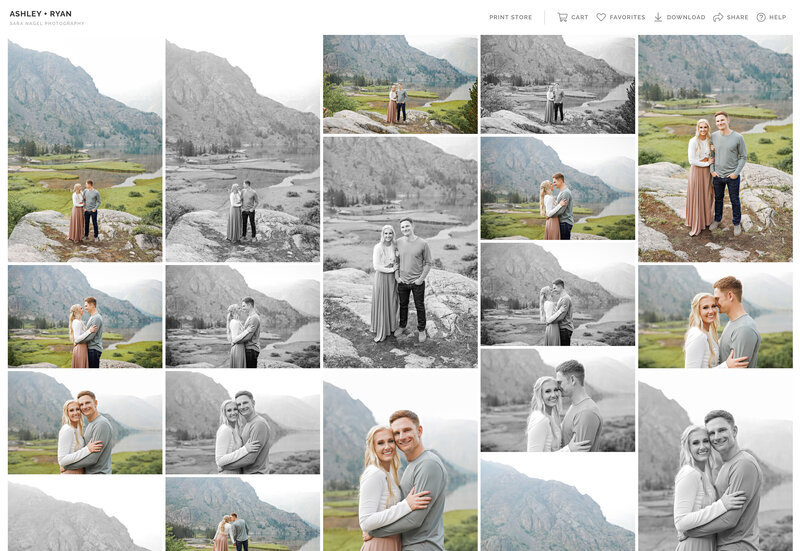 ONLINE-GALLERY-ENGAGEMENTS