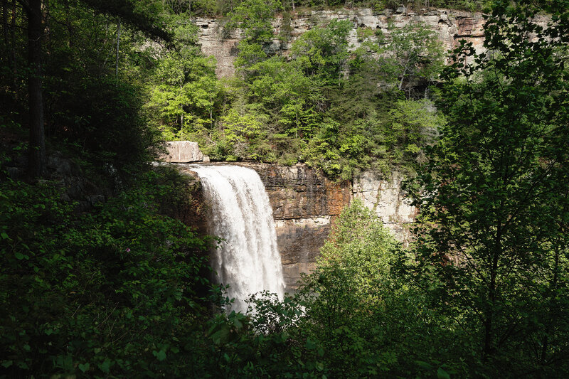 Waterfall cascading down through the trees