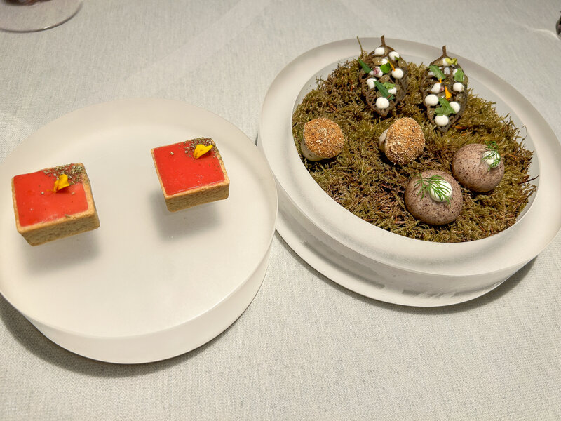 SlowFoodTravelers-2182