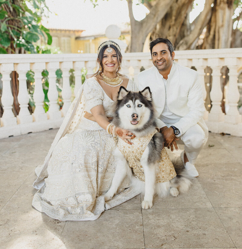 small white maltese dog inside a white electric car driving down the wedding aisle. People smiling in the aisle.