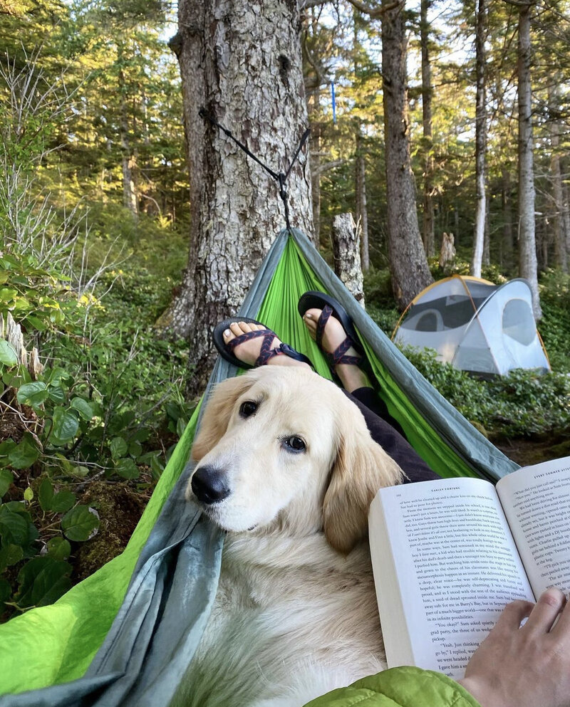 Person laying in a hammock with their dog in the mountains while reading a book