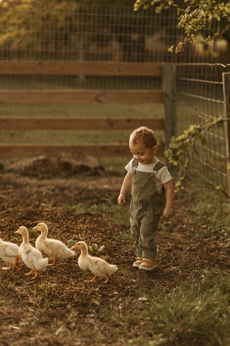 temple texas children photographer