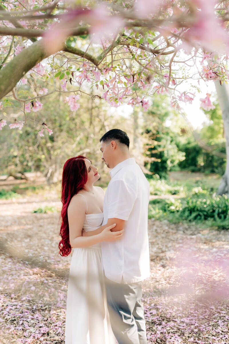 Arboretum Engagement