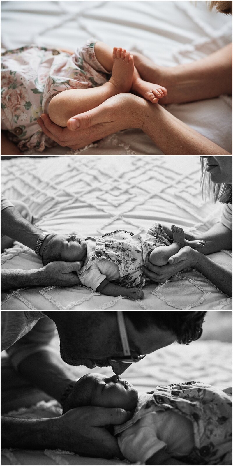 Newborn_Photographer_Port_Macquarie_1022