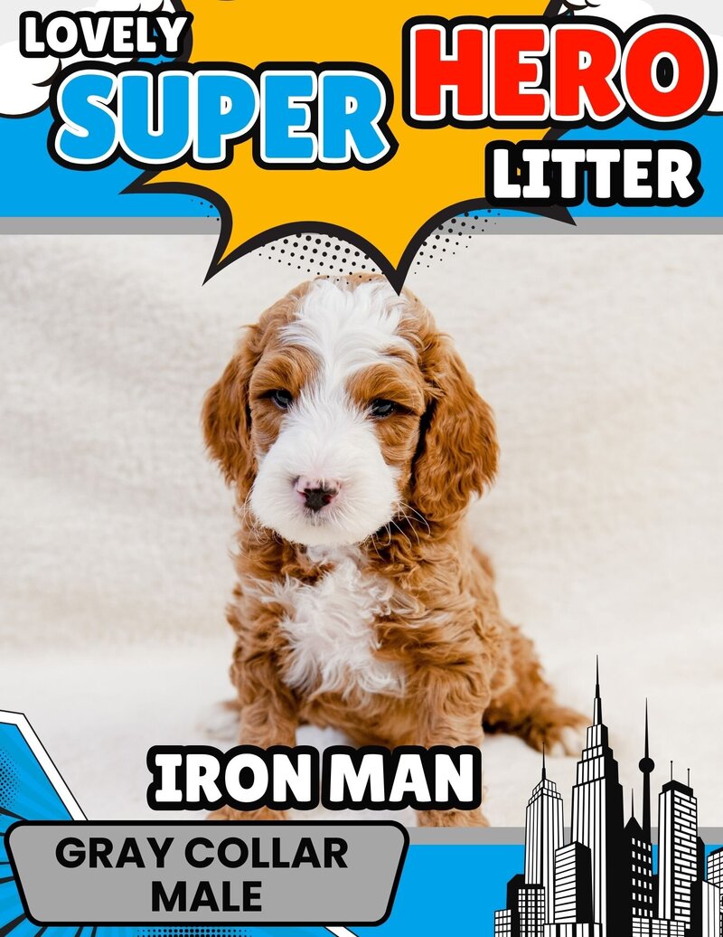 Hero - Gray Iron Man Male