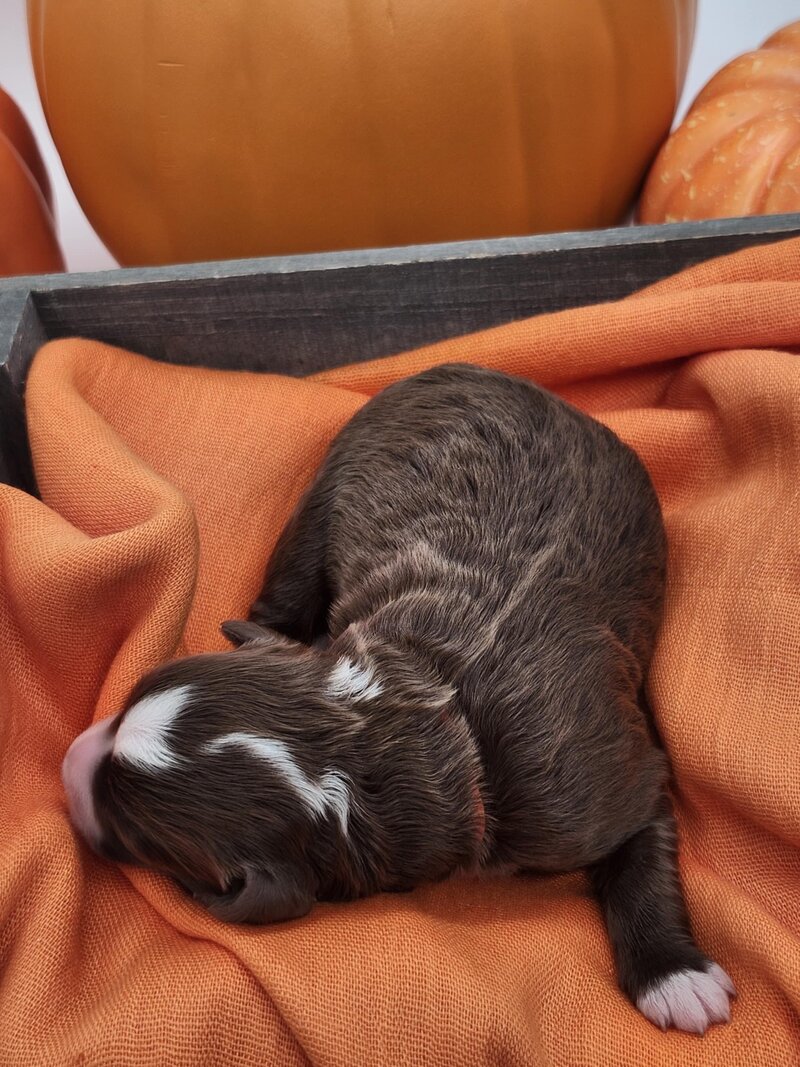 5207fc56-6078-45f9-aeb5-129d2b35812d