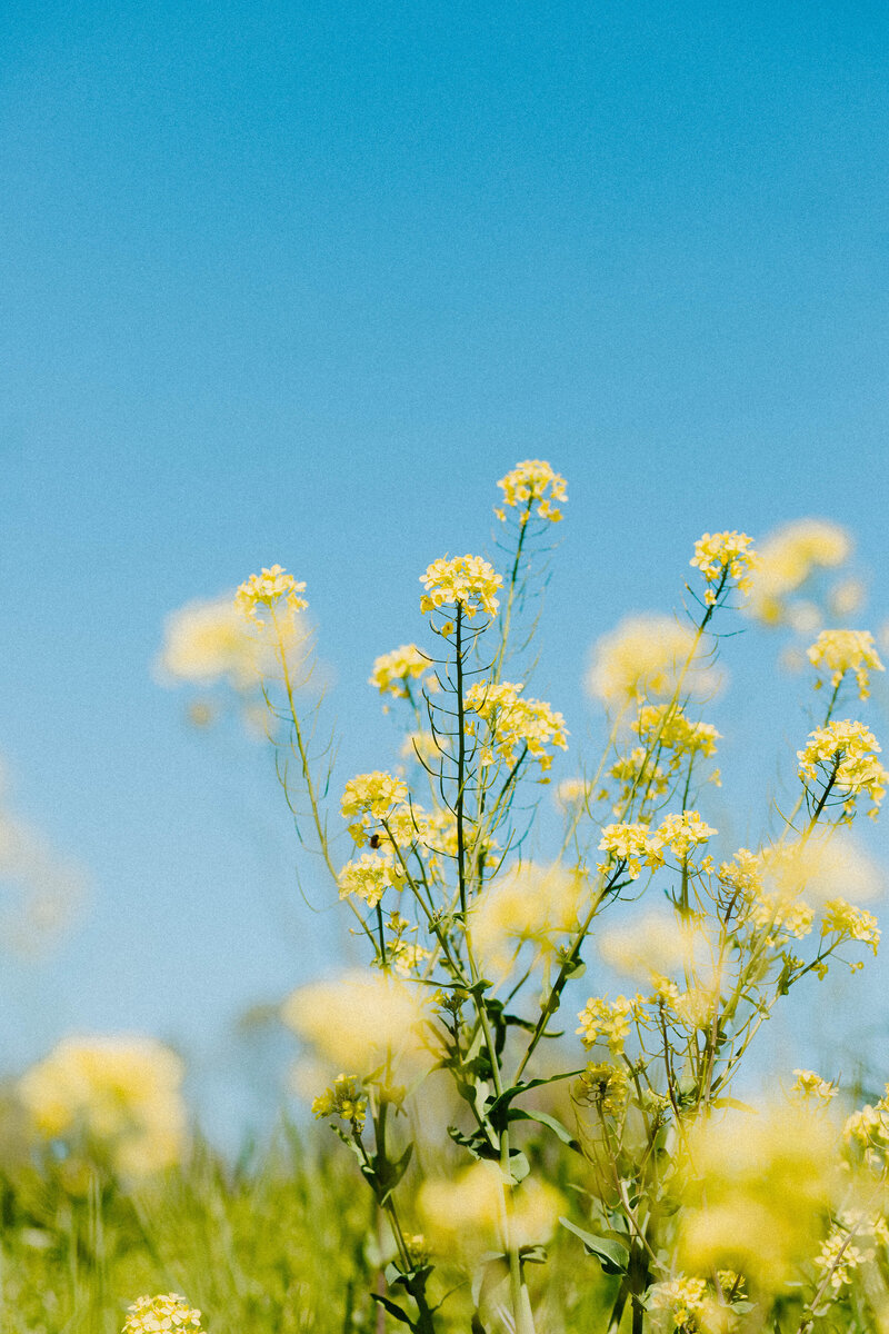 Nature-196497