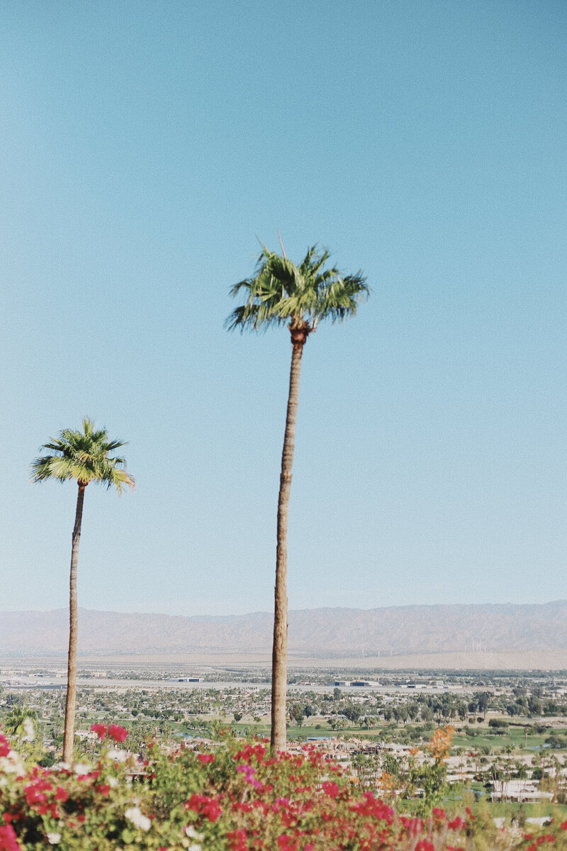 Dear Palm Springs-12