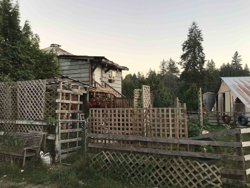 The Silo Garden 2020 - 01
