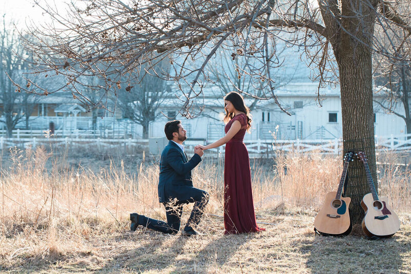 proposal in lincoln park, chicago