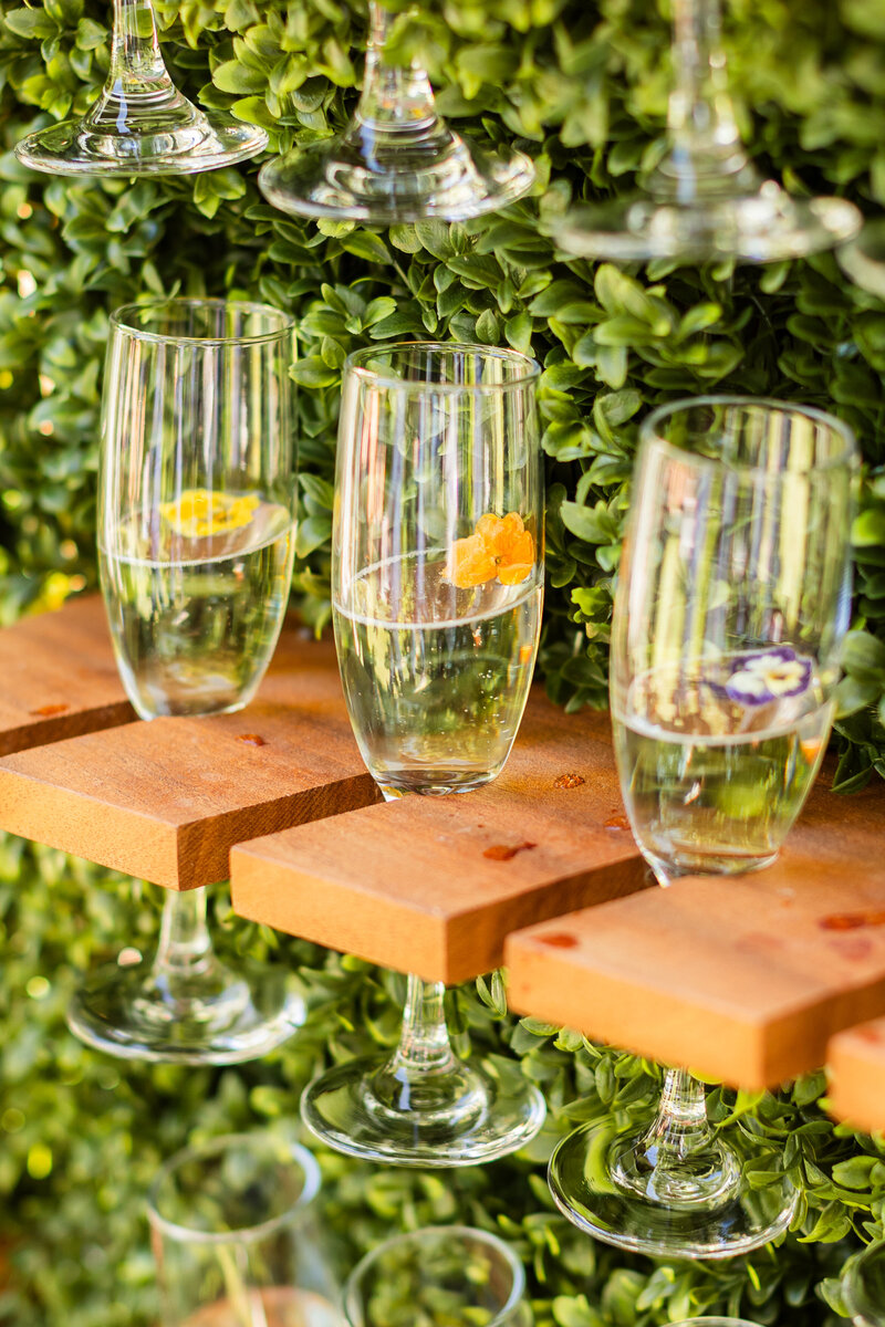 sabrina-trevor-ethereal-gardens-wedding-photos-25