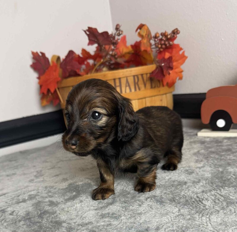 2a1cd1bb-b23d-4389-b957-9f1df5ca3de9