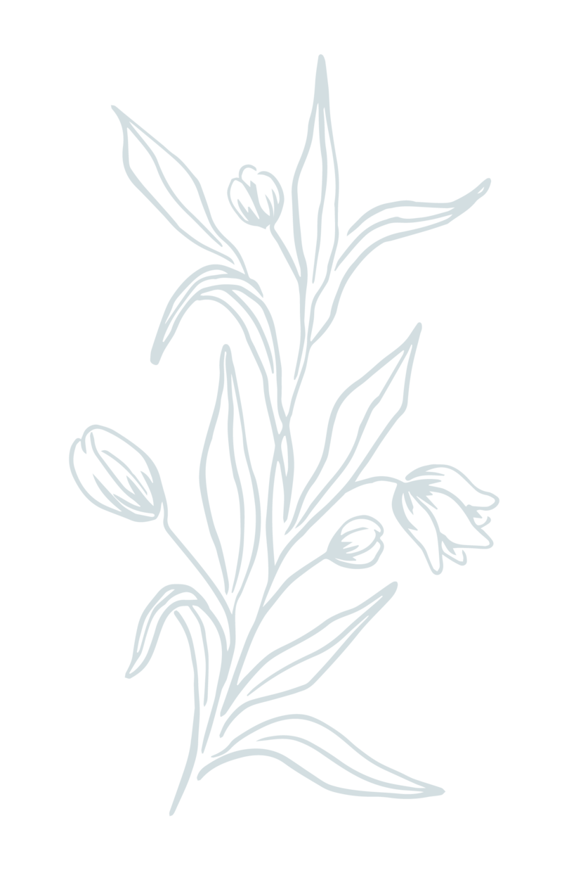 Custom designed floral illustration for Hannah Elizabeth Events