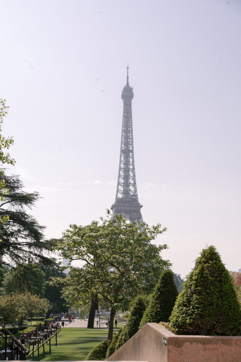 Autumn & Hive - Paris France -1