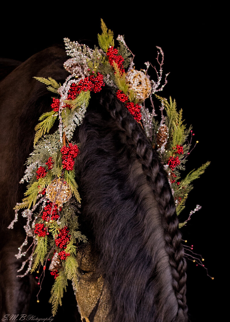 20241116-20241116-_MG_5026