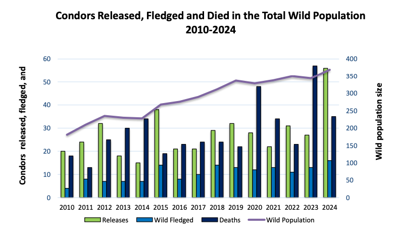 Condor-Population-Graph 01