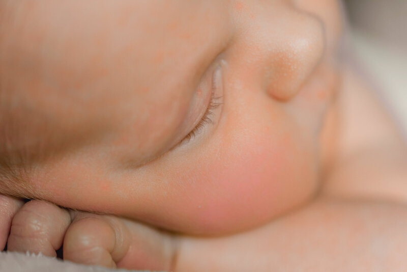 newborn photography traverse city mi