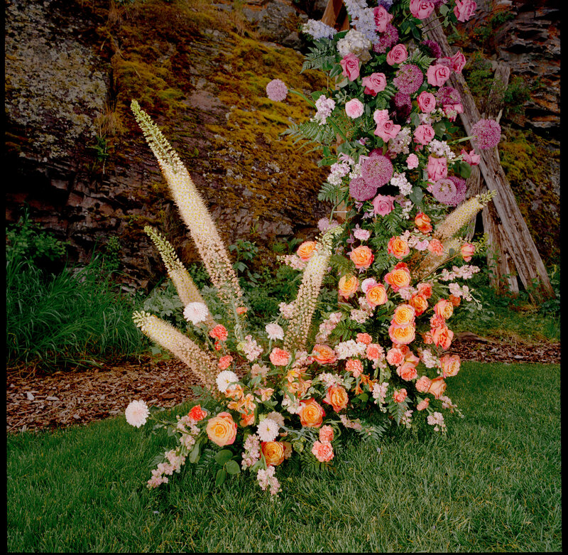 White-Raven-Wedding-Photos-Missoula-2912