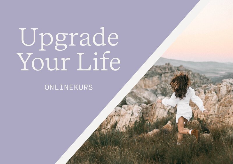 Diana Kavian Upgrade your Life Onlinekurs