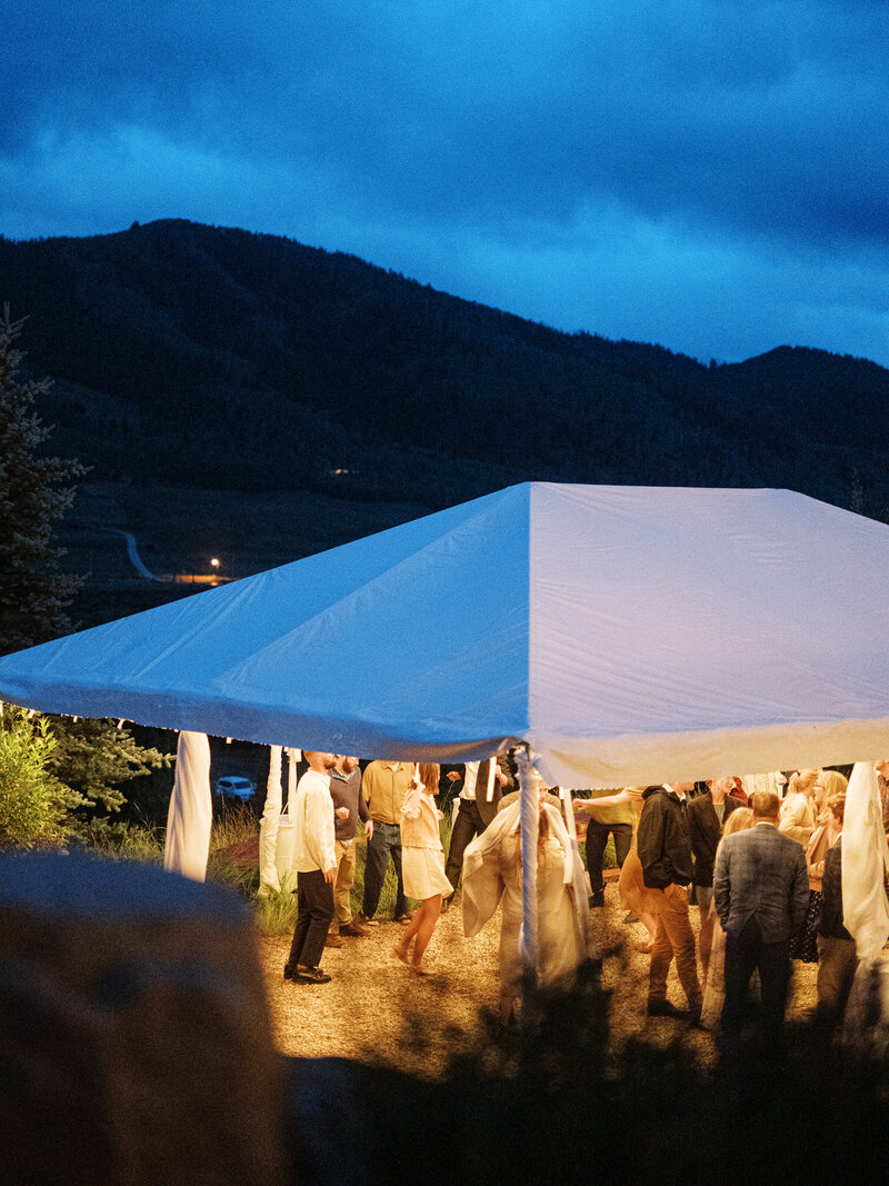 Guests dancing at wedding