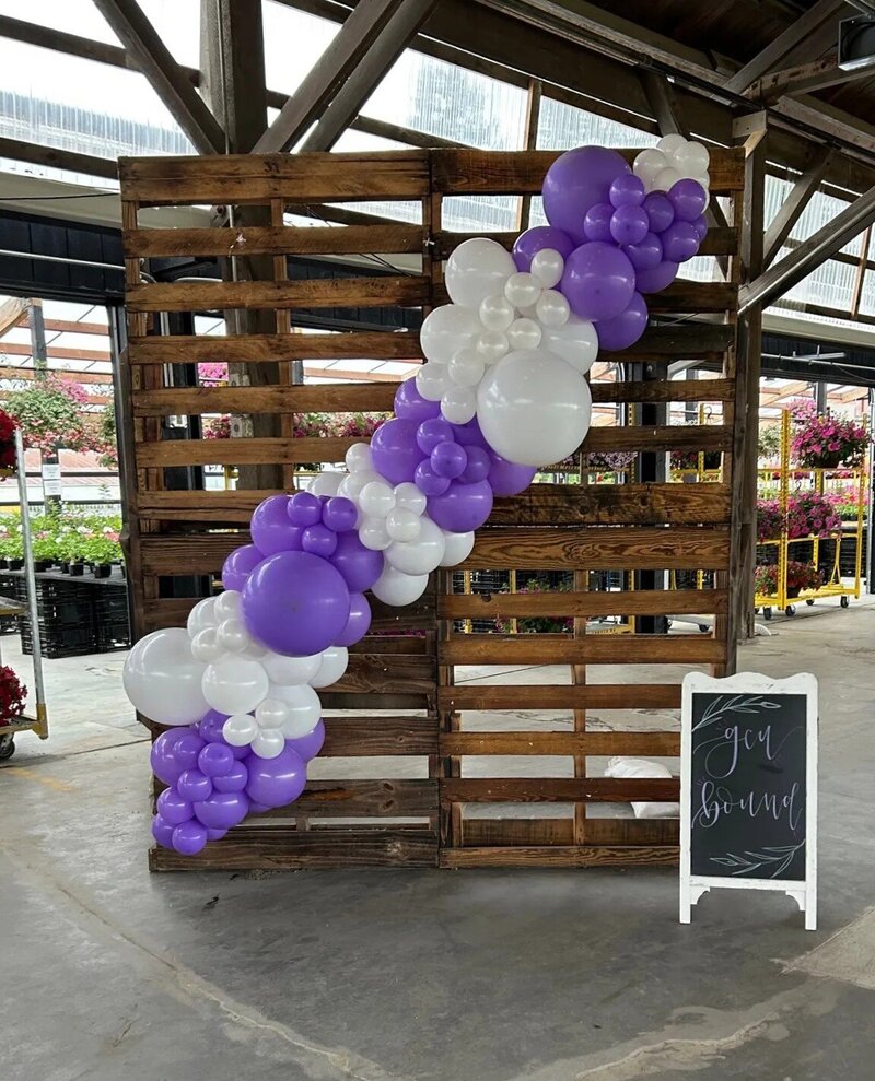 purple and white balloons for birthday party by Sarahs Celebrations