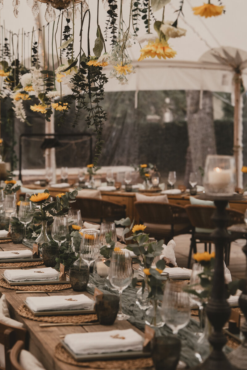 Huwelijksfotograaf en paardenfotograaf in Beringen