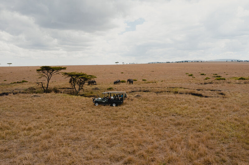 TAASA Serengeti Safari Tanzania