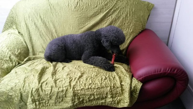 lekker-chillen-2