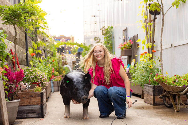 livestock photography