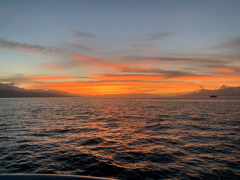 Hawaii(5)