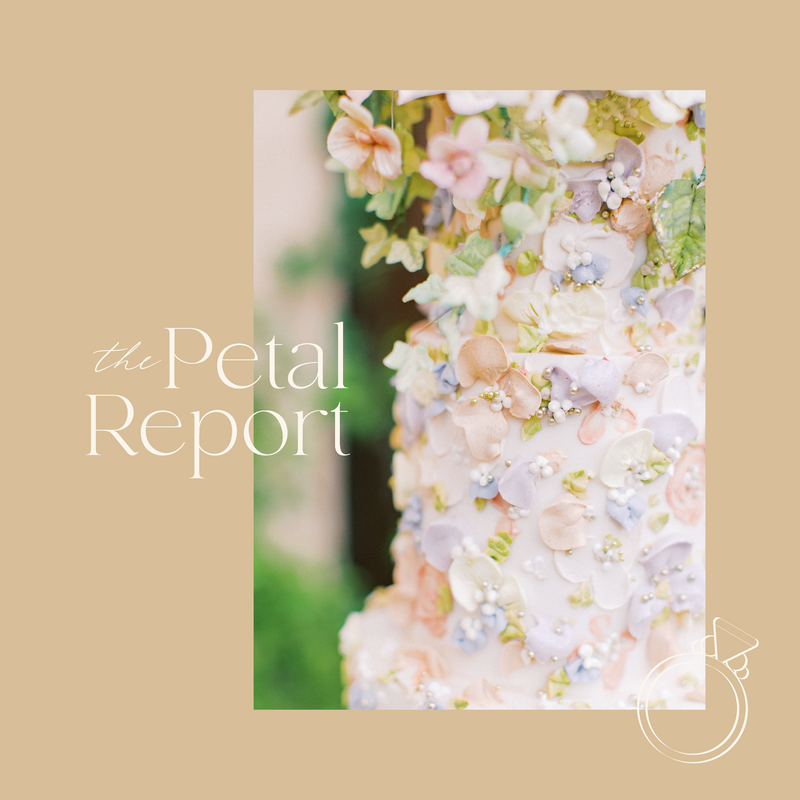 the petal report cake graphic