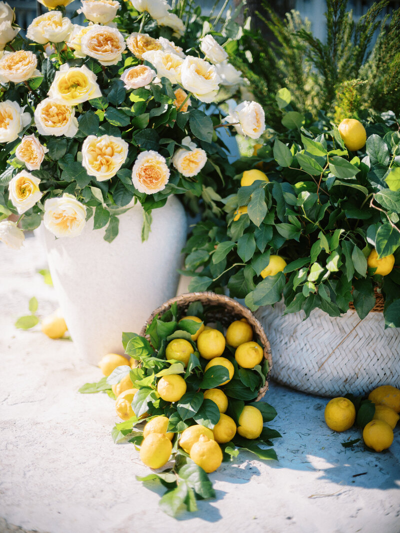 04-23-2024-D&V-Previews-18