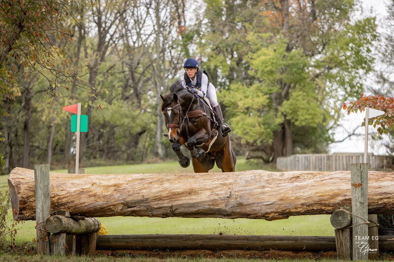 EE4529FC-AEF5-4F6B-8C05-2C2BF8921458_1_105_c