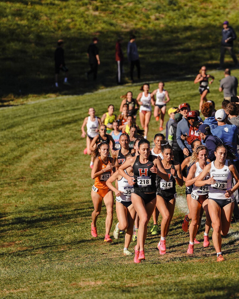 hxc meet