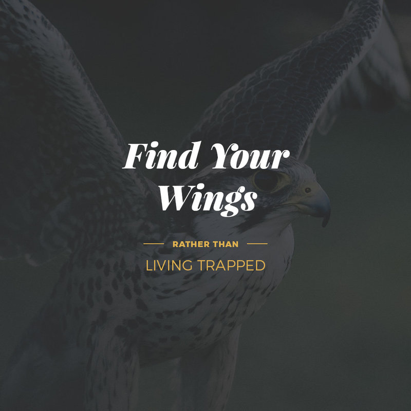Navah-Benefits-Wings