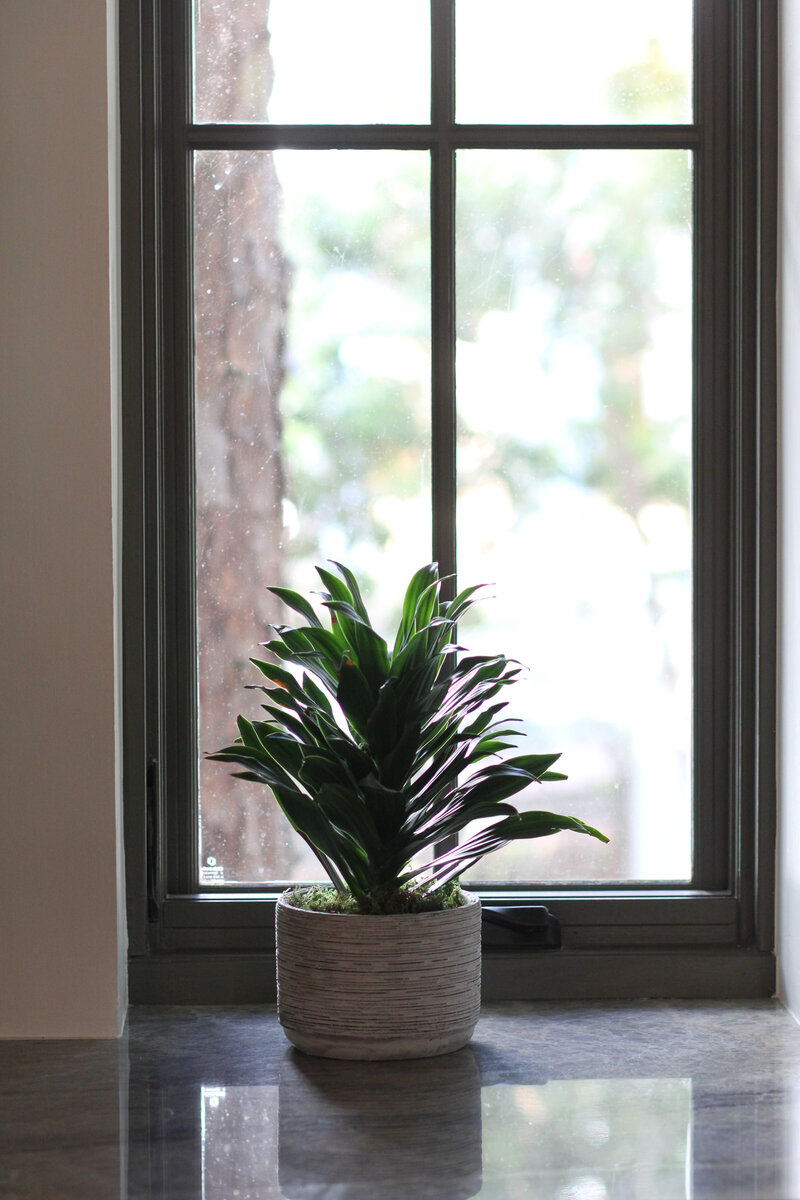 marble-counter-black-window-florida-30a