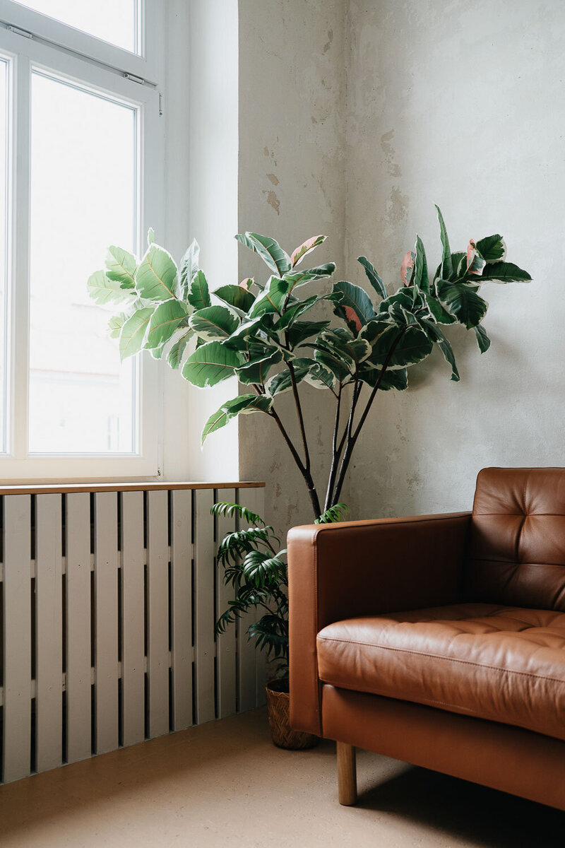 fotostudio Praha Homolková