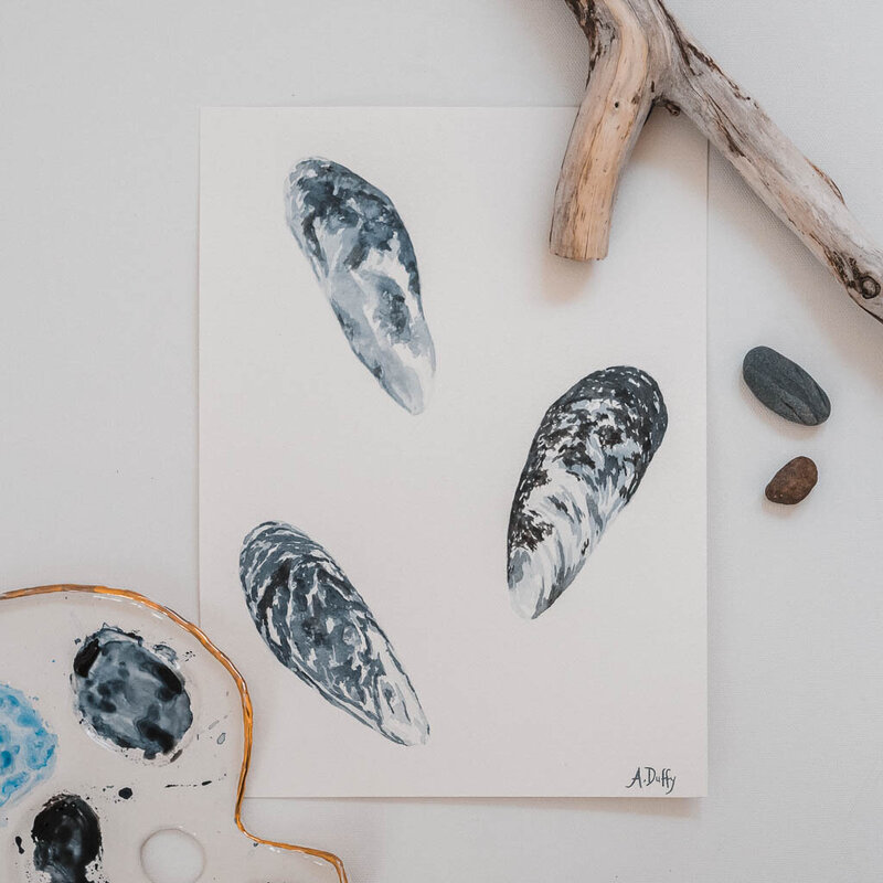 Watercolor paint of three mussel shells and driftwood by artist Amy Duffy