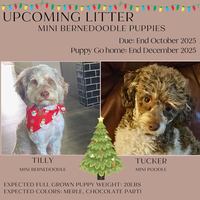 Tilly x Tucker 