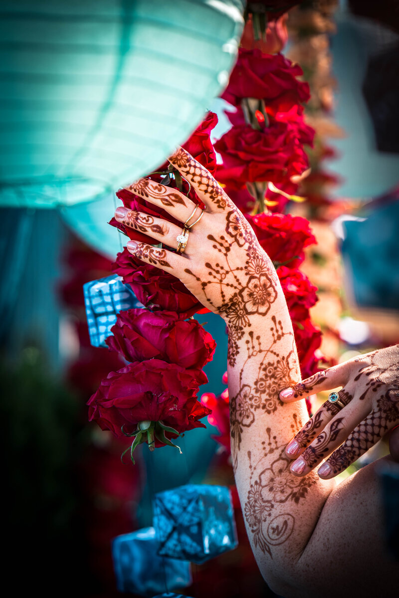 ApertureHorizonsPhotography (12 of 146) - Jed Rau