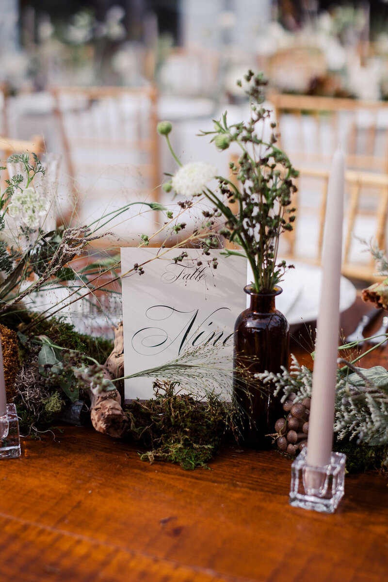 Shelby_Sam(304of843)