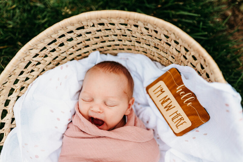 Newborn baby swaddled in pink and laying in a wicker basket.  Baby has eyes closed while yawning.  There is a sign next to baby that says, "hello, I'm new here".  Photo taken during philadelphia newborn session at Longwood Gardens
