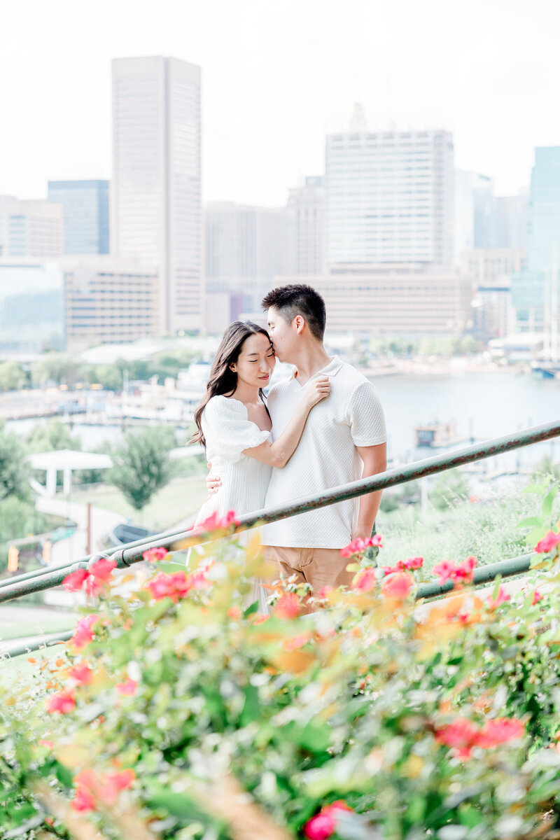 bright and airy grass sunset