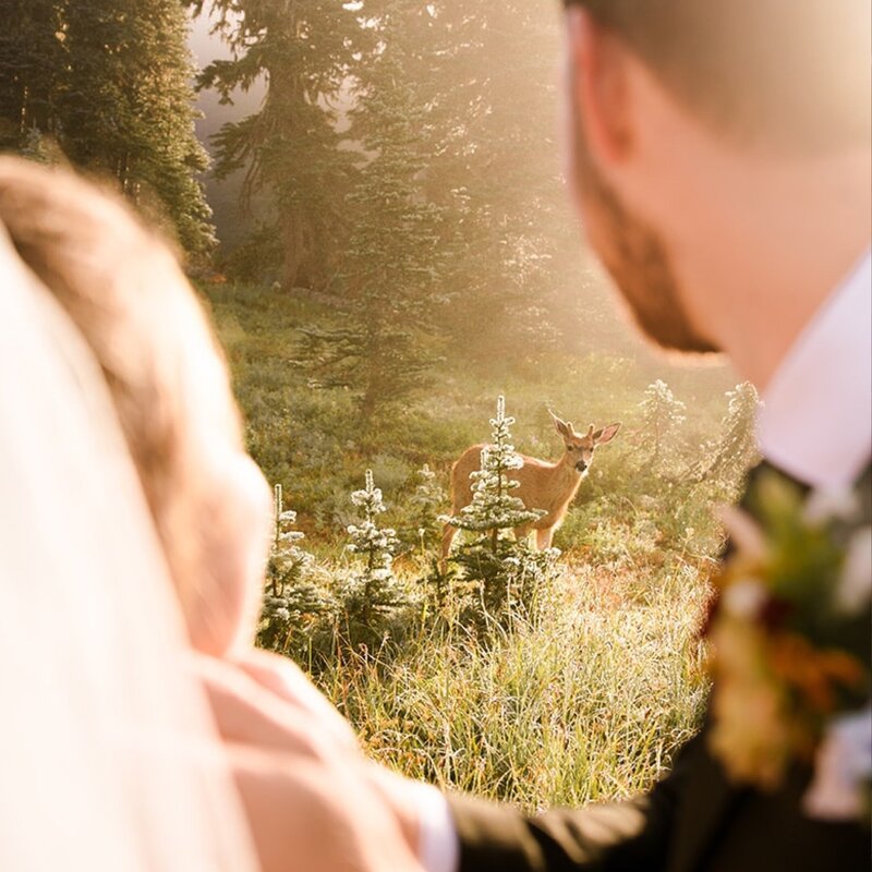 mt-rainier-elopement_Seattle-elopement-photographer_8