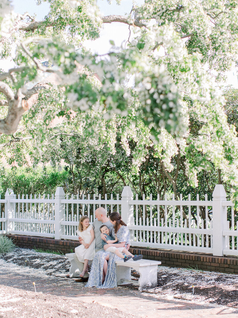Family photo of mom dad, and two young children sitting on a bench together in a spring garden beneath flowering cherry trees by NH family photographer Fieldstone Studio.
