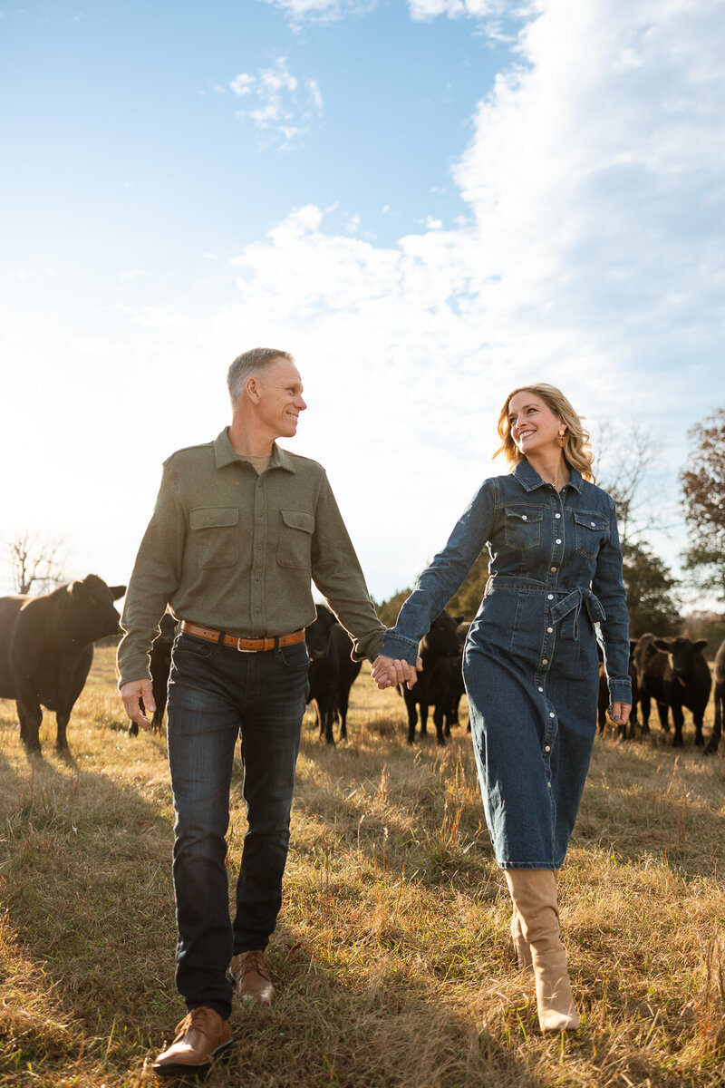 Couple holding hands walking with cows in the background taken on family farm during an extended family portrait session. 