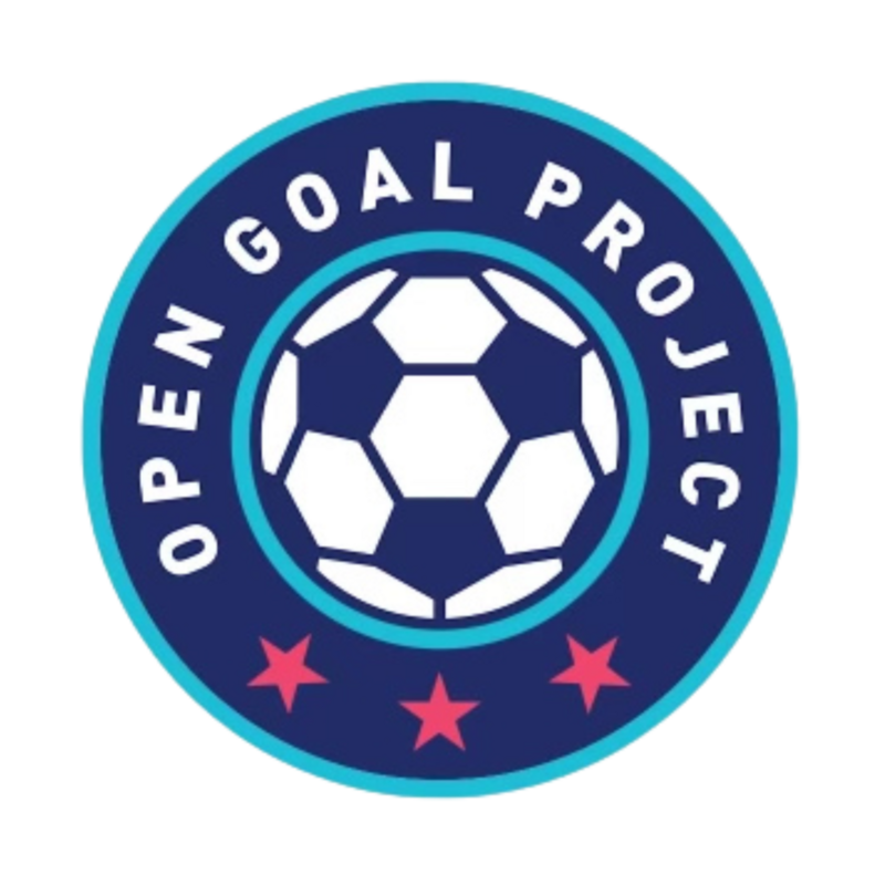 leveling the playing field logo