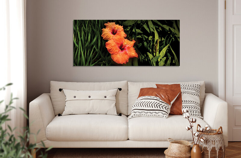 ©FredWGillaspy-FWG-HI-Pano-Hibiscus-Gecko-MU-001