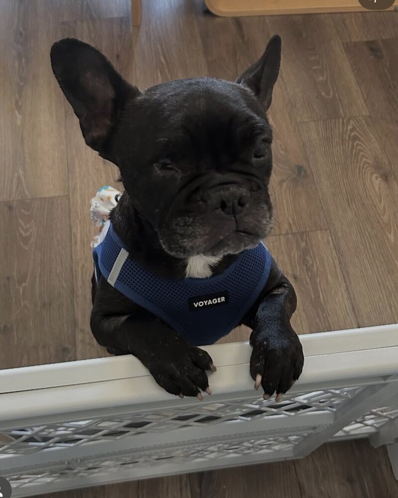 Fiona 2025 (5)