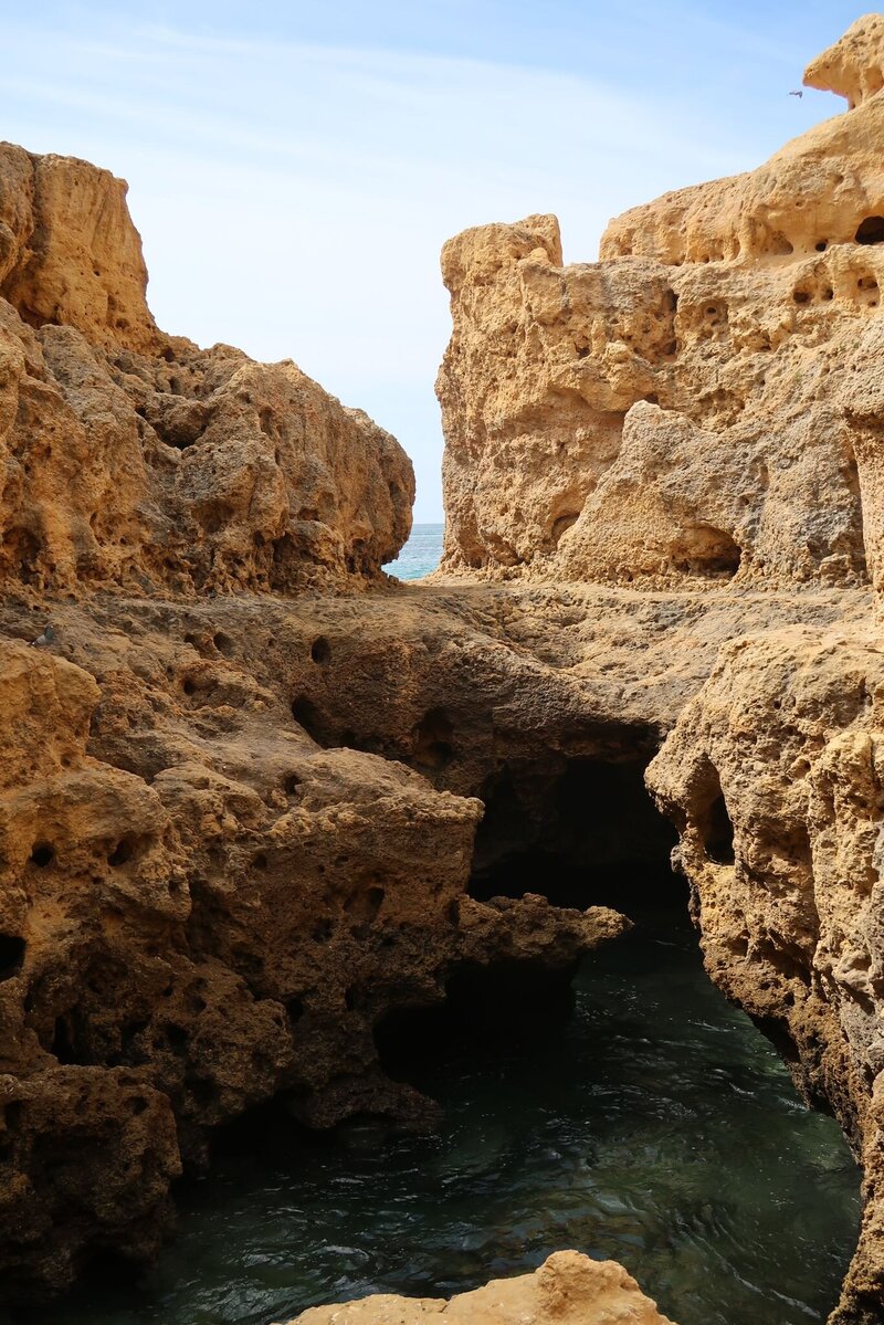 Natual pool algar seco